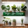 02_1288b570-2bbe-47ef-8ca7-a086ed67237e.jpg T8-40 LED Tube Grow Lights 4-Pack | Propagation Shelves