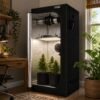 60x60x140cm Grow Tent