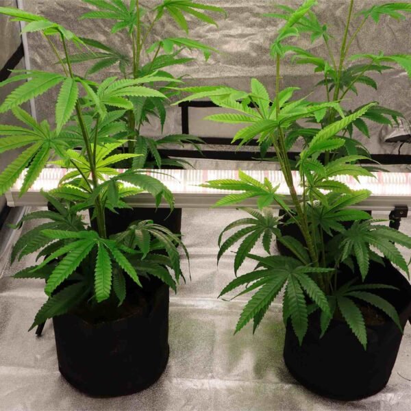 6_1.jpg U120C 120W Under-Canopy LED Grow Light