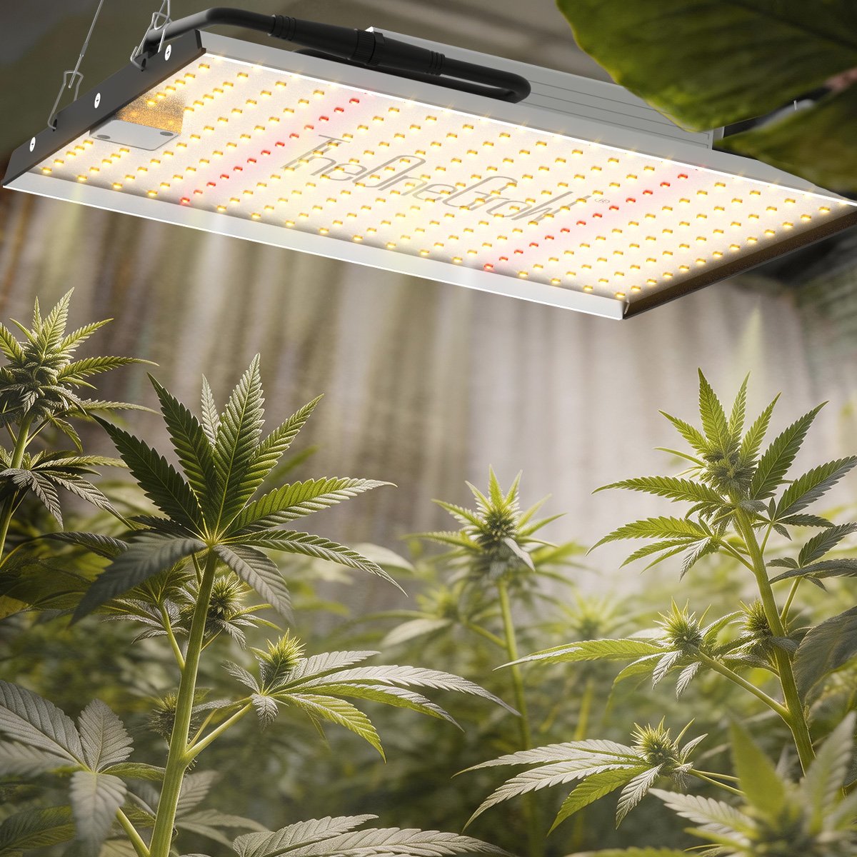 SilvaBask indoor growing guides