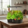 Smart Countertop Hydroponic Garden product view 05