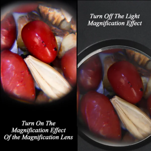 LED Glass Storage Jars with Magnifying Lid – product view 05 LED Glass Storage Jars with Magnifying Lid product view 05