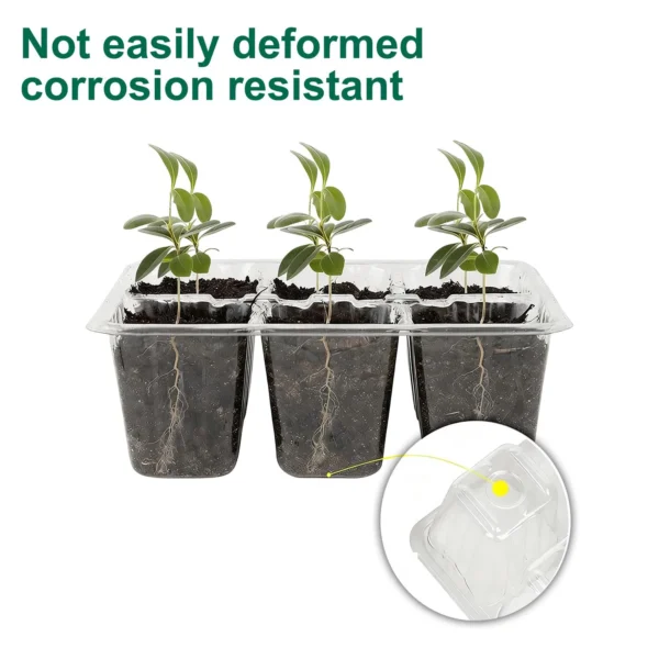 Seed Starter Trays – 6 & 24 Cell product view 06