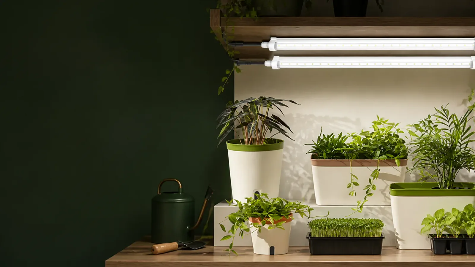 LED grow light illuminating healthy indoor plants