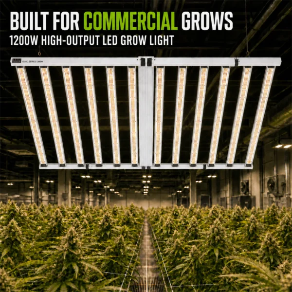 OC1200 1200W Foldable LED Grow Light – application view OC1200 1200W Foldable LED Grow Light shown in a suitable growing setup
