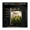 MA400 400W Quantum Board LED Grow Light product view 04