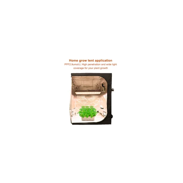 OC600 600W Greenhouse Supplemental LED Grow Light product view 05