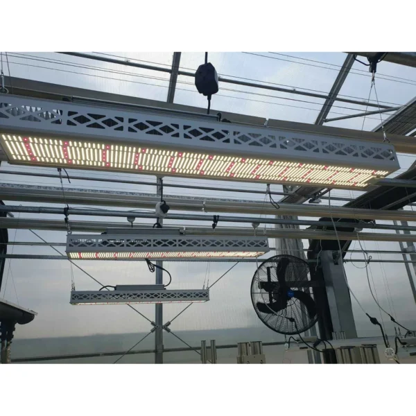 OC600 600W Greenhouse Supplemental LED Grow Light product view 09
