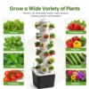 30-Site Vertical Hydroponic Tower product view 07