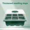 Seed Starter Trays – 6 & 24 Cell product view 09