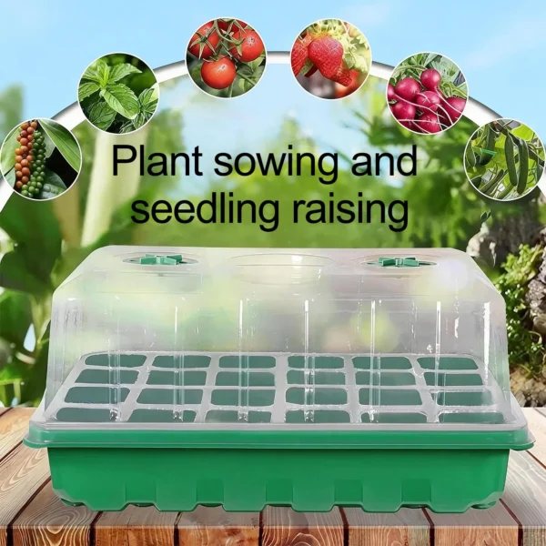 Seed Starter Trays – 6 & 24 Cell product view 10