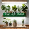 T8 LED Tube Grow Lights – 2-Pack & 4-Pack product view 09