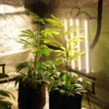 T8 LED Tube Grow Lights – 2-Pack & 4-Pack product view 12